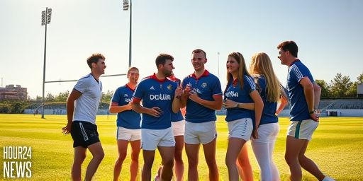 Dublin Hurling Triumph: Hayes Double Beats Kildare