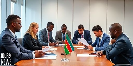 Namibia: Ex-ACC Investigator Blames Justice System for Corruption Failures